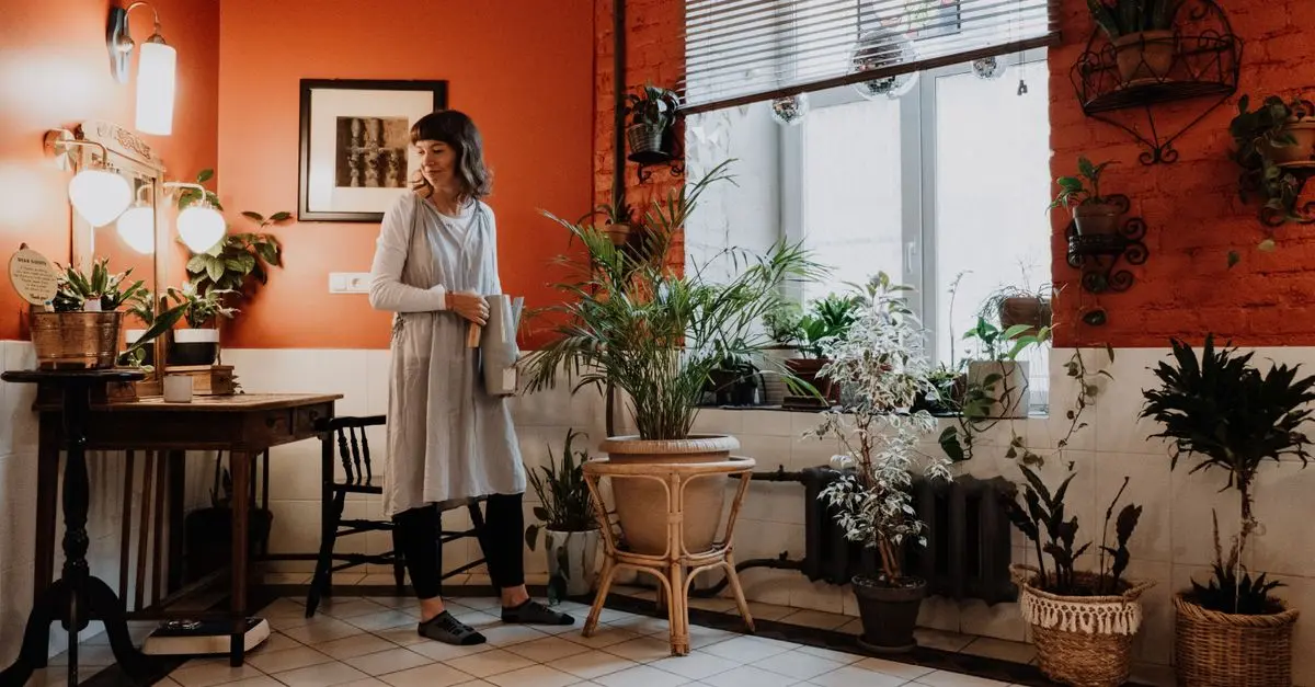 Guida alla decorazione con le piante d'appartamento